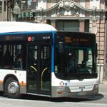 Bus