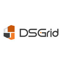 DSGrid